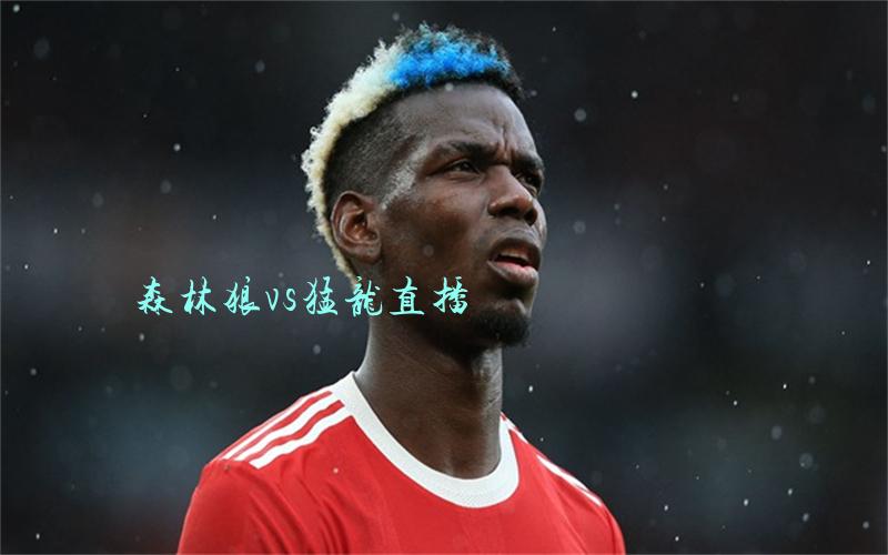 nba比赛森林狼vs猛龙直播